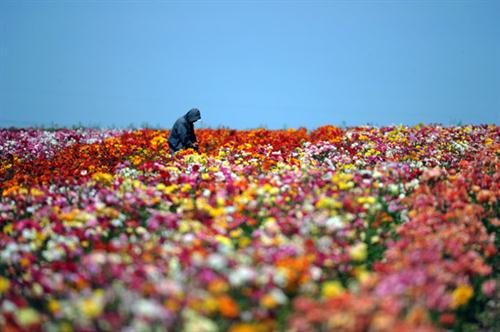 抖音上新娘对新郎的告白