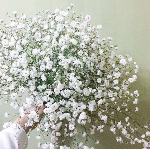 抢到手捧花说什么幽默 抢到手捧花说什么好