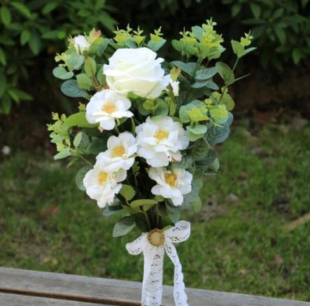 雏菊花语是什么 不同颜色雏菊的花语