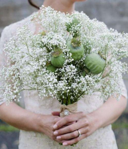 大丽花花语是什么 大丽花花语寓意