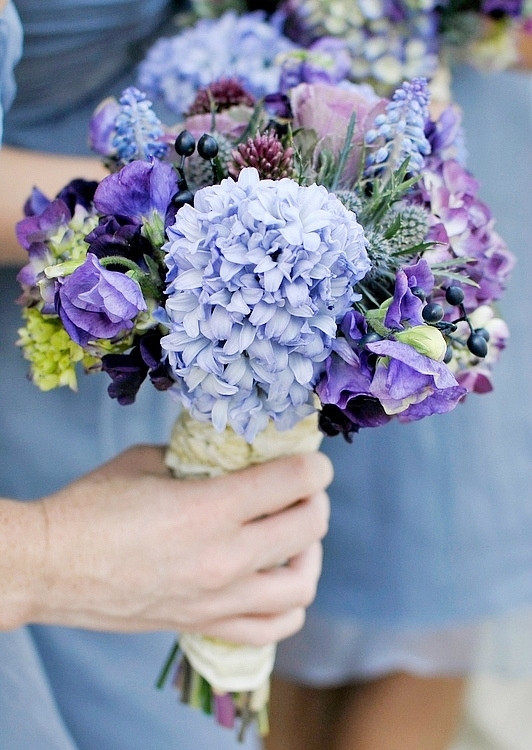 蓝色妖姬花语 蓝色妖姬适合送什么人