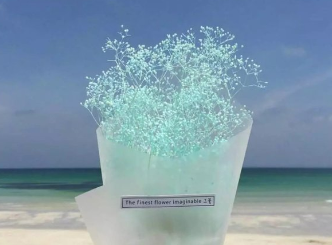 较近抖音很火关于满天星的话 满天星的经典一句短句