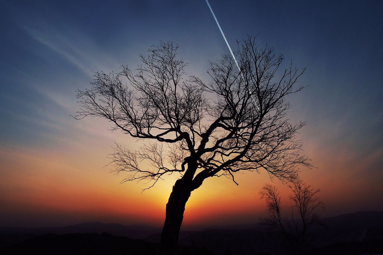 相亲短信较好次打招呼