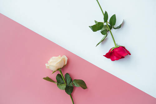 婚礼上新郎适合说什么