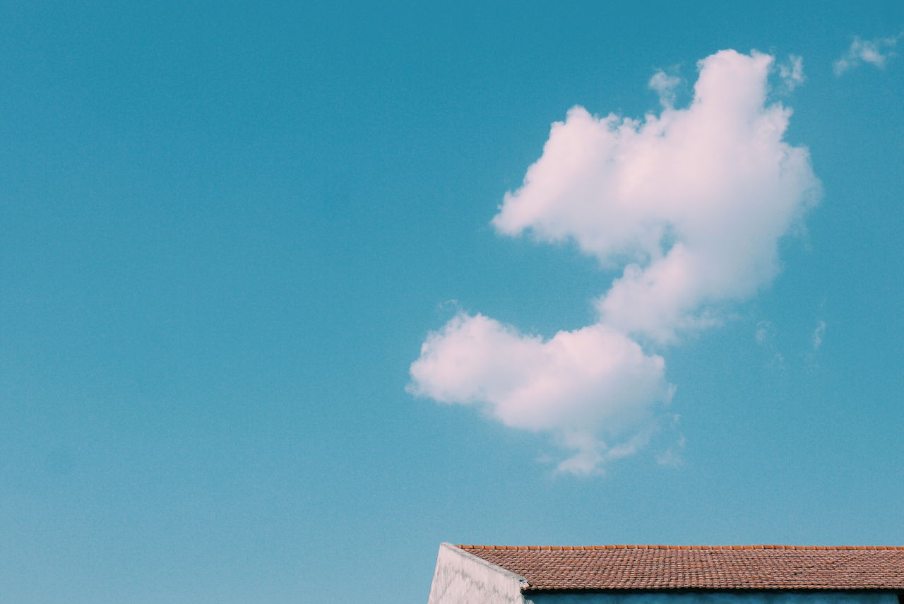 有哪些好的的相亲网站