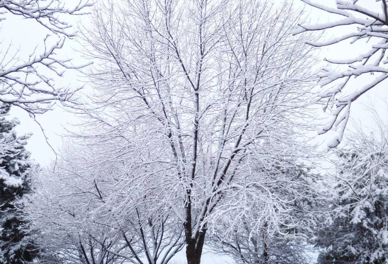 下雪的伤感经典语录 