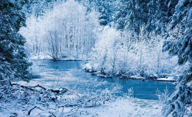 参加同学聚会感言 