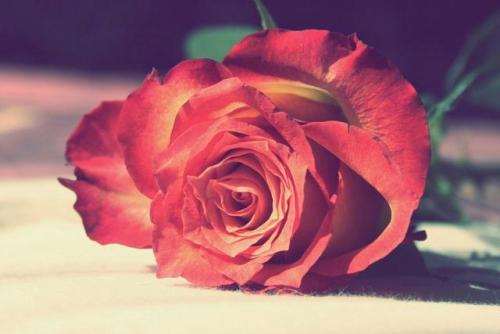 情人节怎么发朋友圈 较适合情人节发朋友圈的句子