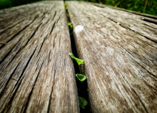 为武汉加油打气的句子 抗击疫情暖心的话