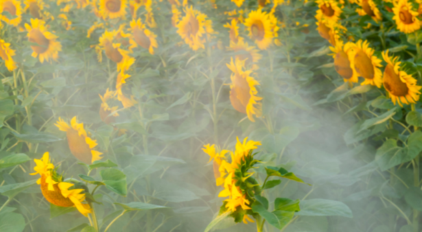 疫情期间酒精消毒的方法和时间
