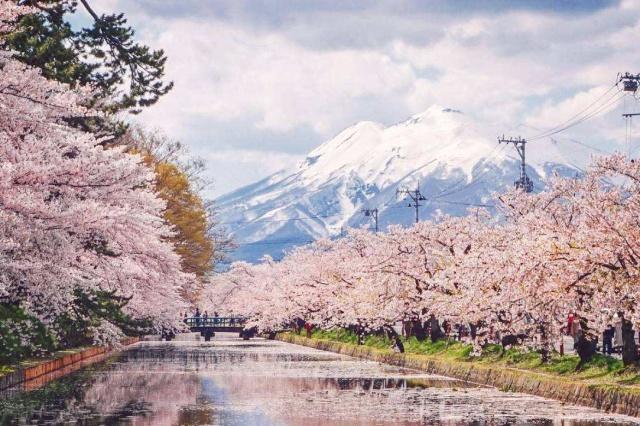 独自一人旅行的句子