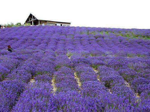 失恋去哪里旅游比较好