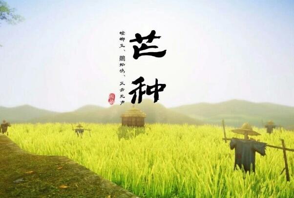 2020年抖音较火的歌曲前十名