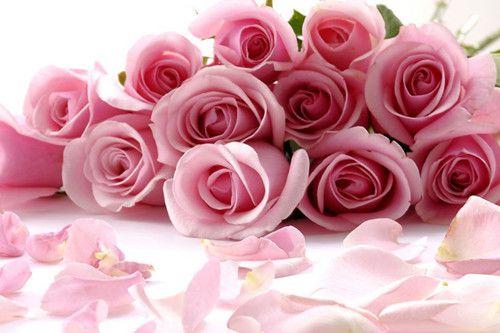 庆三八妇女节贺词 为庆祝三八妇女节贺词