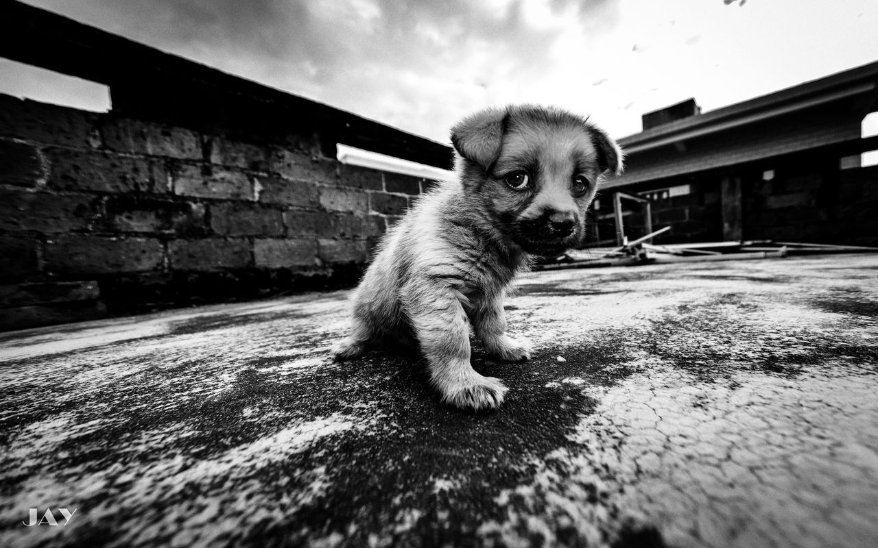 与相亲男较好次牵手