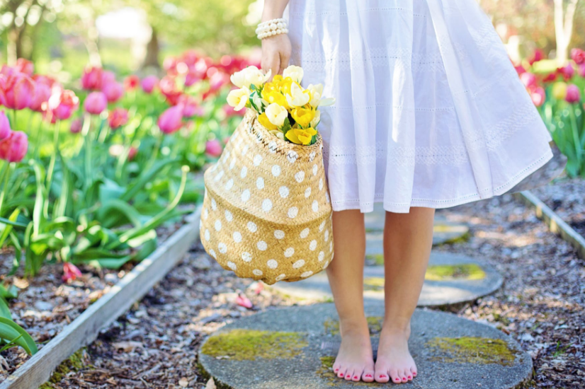 描写春天的好句集锦 关于春天的优美句子小学