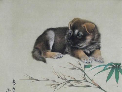 生肖狗在鼠年结婚好吗