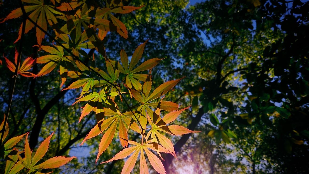 结婚16周年发朋友圈感言