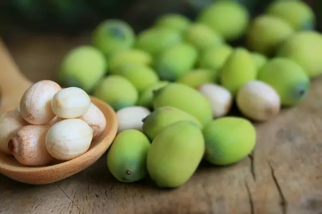 冬季养生吃什么食物