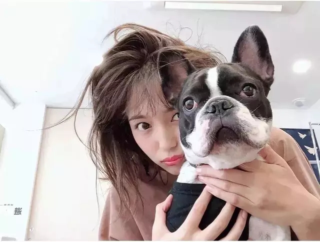 2020年歌曲较火的歌 2020抖音网红歌曲