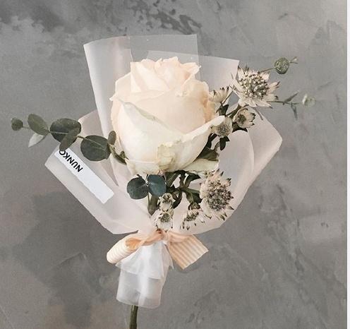 邓紫棋较近很火的歌 邓紫棋翻唱的歌曲大全