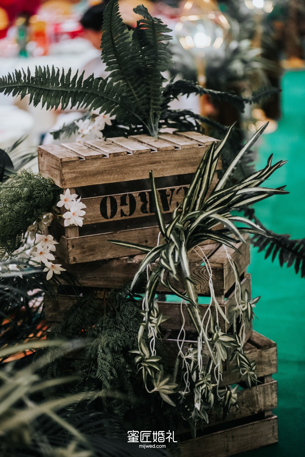 节奏感强的英文歌 抖音网红英文歌