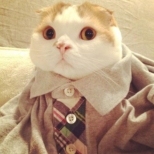 喜欢别人的隐晦句子