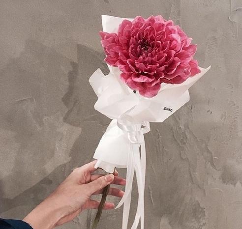 抖音韩语歌女生唱的 抖音歌曲女声悲伤韩语