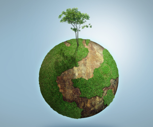  一年级语文植树看图说话