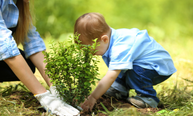 三个人植树的看图写话