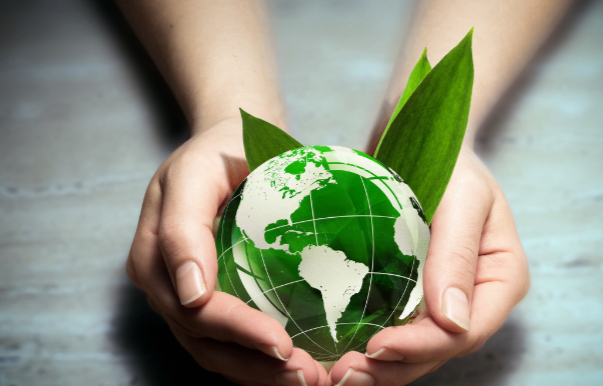 三个人植树的看图写话250字