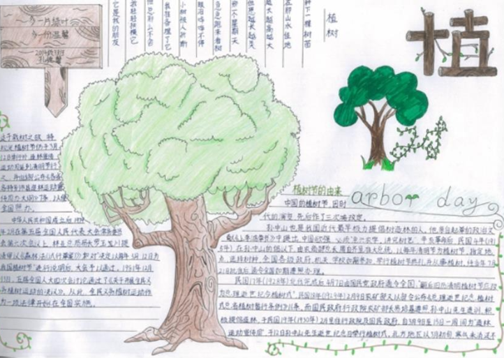 1～6年级一等奖手抄报 