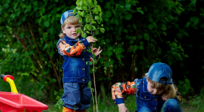 抖音植树节晒娃句子