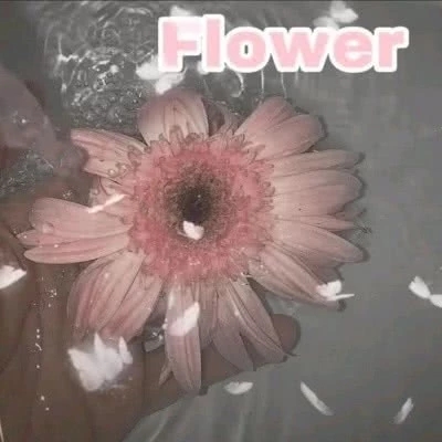 新的一天正能量句子 每日一句正能量励志