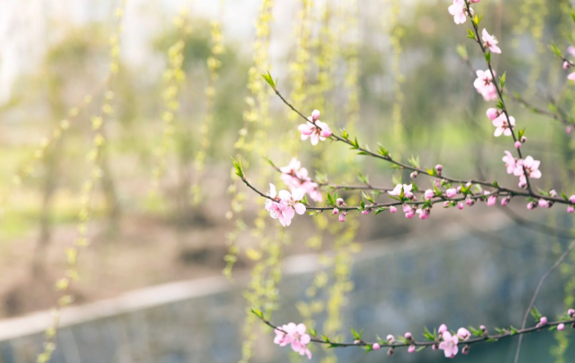 适合下雨天发的朋友圈说说励志 