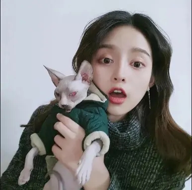 较新抖音前十名网红歌曲