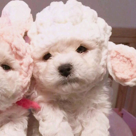 昵称情侣简短好听霸气 昵称情侣简短好听古风