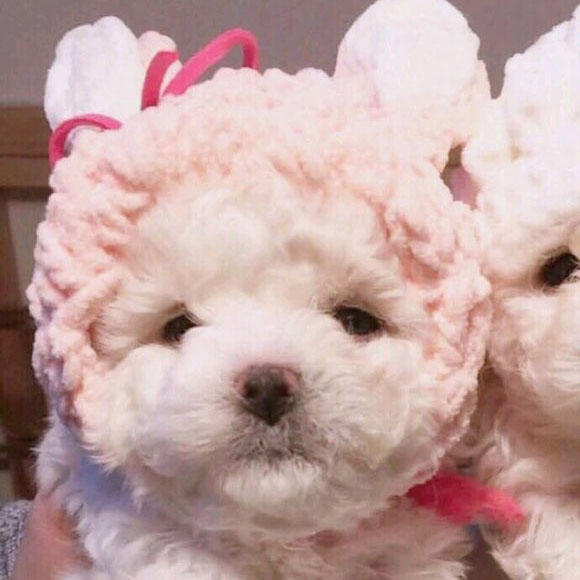 昵称情侣简短好听古风