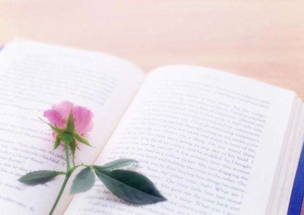 2020全新的早安句子