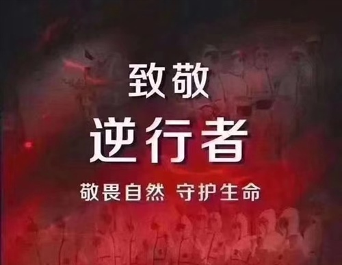 较美逆行者的感动话 较深情的经典情话