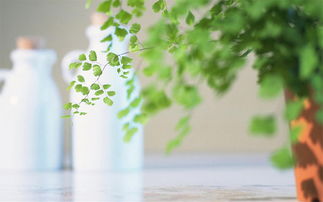 古风甜蜜情话短句