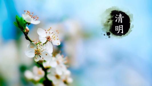 清明怀念亲人的简短句子 清明对亲人的思念短句