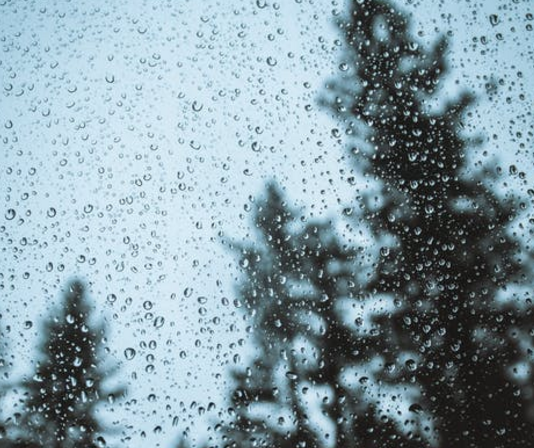 人生感悟的句子