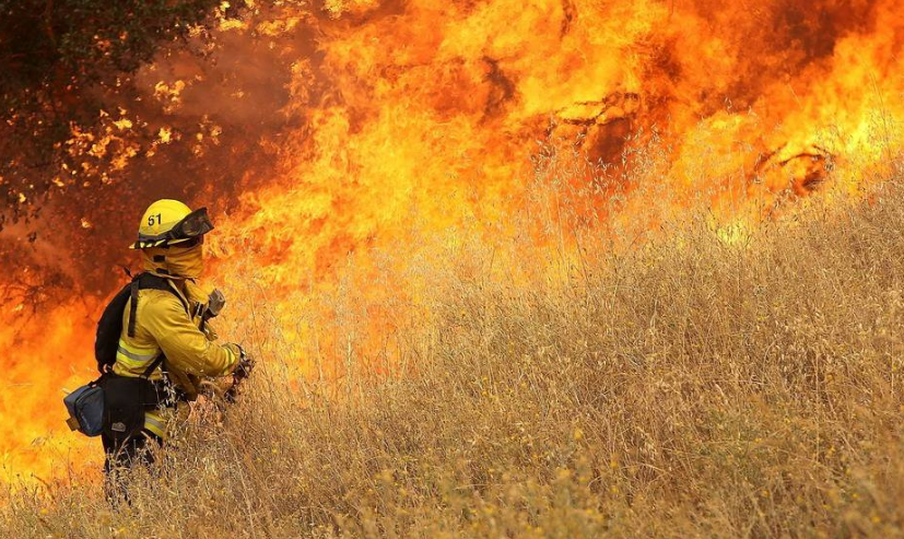 向救火英雄致敬词
