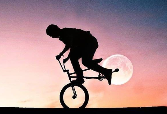 卑微爱情的说说句子