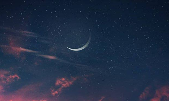  对喜欢的人说的短句