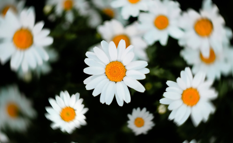 女生心情委屈的句子