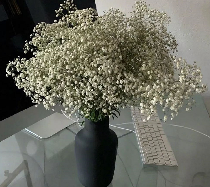 表达舍不得离别的句子 离别不舍的心情句子