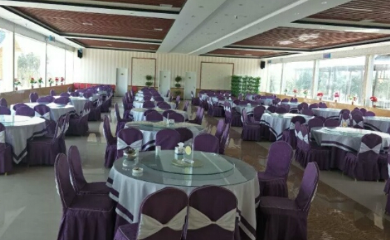 郑州有特色的婚宴酒店