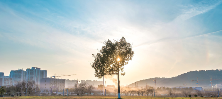 端午全诗意思 关于端午节的古诗大全